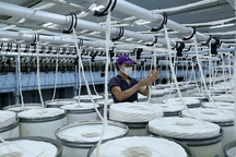 Doanh nghiệp Hàn “ngó lơ” lời kêu gọi về nước, chọn Việt Nam làm điểm đến