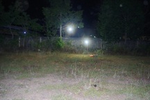 Đi chăn bò, phát hiện thi thể phụ nữ đã phân hủy