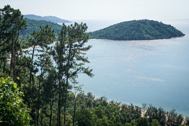 Đà Nẵng chuyển mục đích gần 80ha đất rừng trồng sang làm dự án