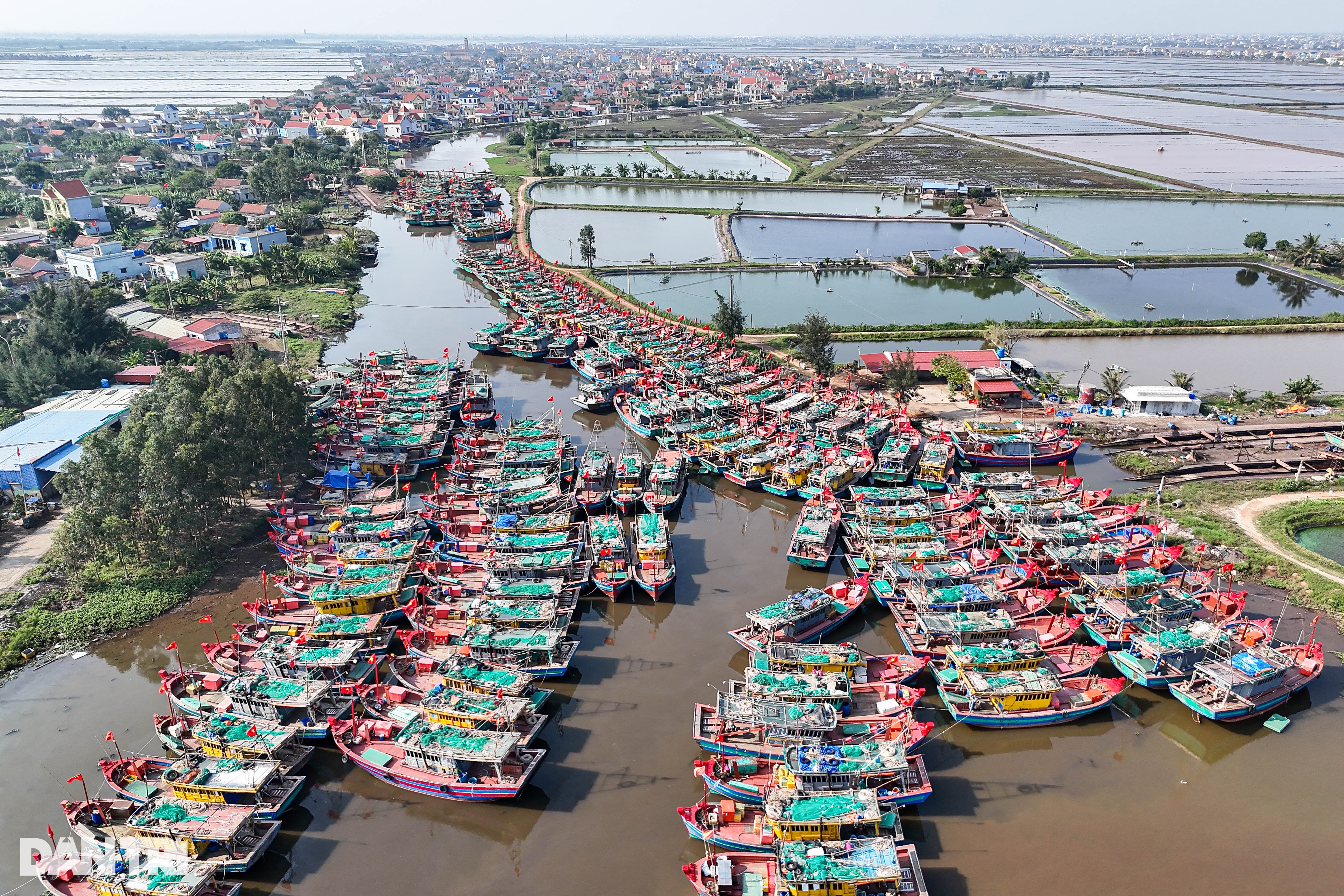 Xông biển mùng 1 Tết, ngư dân kiếm tiền triệu - 11