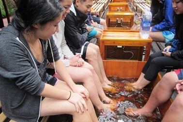 “Mùa đông không lạnh” cho những đôi chân khám phá Phong Nha – Kẻ Bàng