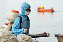 Gần một nghìn người căng mình "giải cứu" hồ Tây