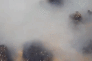 Hàu giao phối tập thể khiến nước biển chuyển màu khác thường