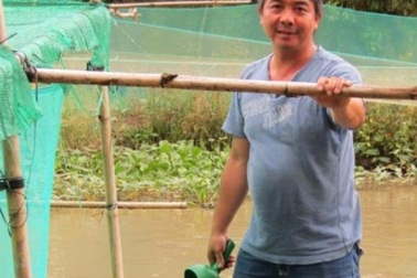 Lạ mà hay: Cho ếch ngồi trên, cá trê bơi ở dưới, 3 tháng lãi 35 triệu đồng