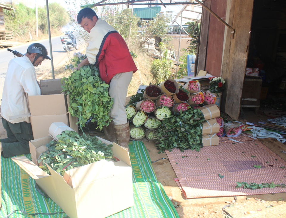 Giá rau, hoa Đà Lạt bật tăng sau dịch Covid-19 - 3 Giá rau, hoa Đà Lạt bật tăng sau dịch Covid-19 - 3