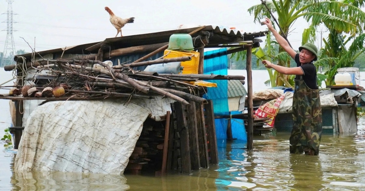 Bà Kỳ đã đưa gà lên mái hiên trú ẩn (Ảnh: Hồng Hạnh).