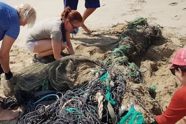 Hàng chục khách nước ngoài "mướt mồ hôi" nhặt rác trên bãi biển Nha Trang