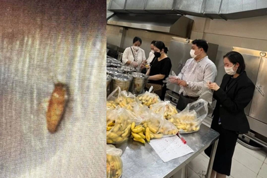 Vụ côn trùng trong bữa sáng ở trường tư: Huyện Thanh Oai yêu cầu báo cáo