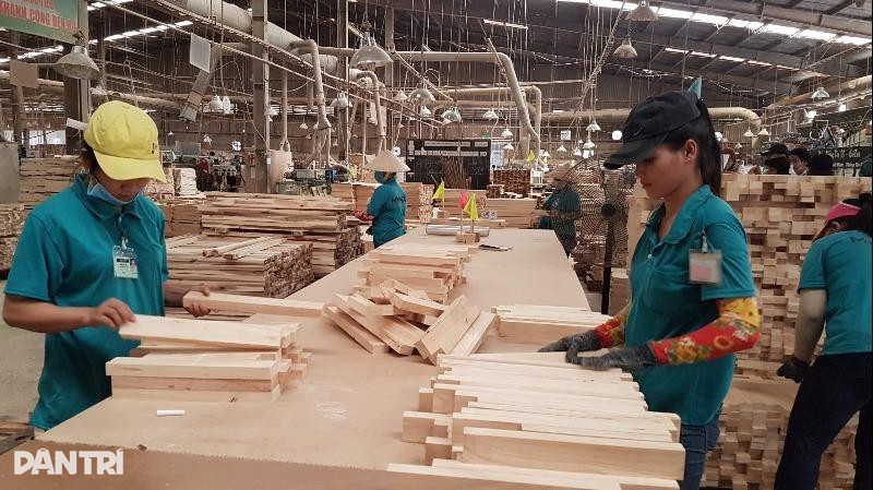 Nỗi lòng của doanh nghiệp cá tôm, gỗ, may mặc... - 1 Nỗi lòng của doanh nghiệp cá tôm, gỗ, may mặc... - 1