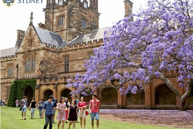 Đại học Sydney- TOP các trường đại học trên thế giới