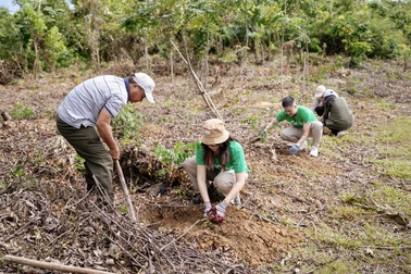 Khi nền tảng công nghệ chung tay vì môi trường