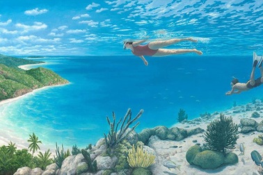 Những hình ảnh tuyệt đẹp "đánh lừa" thị giác