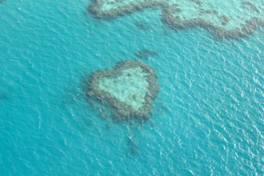 Cho em thêm thời gian