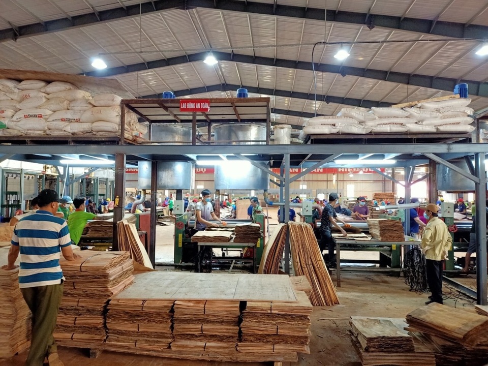 Công ty Minh Long đưa vào vận hành nhà máy sản xuất ván ép hiện đại - 3 Công ty Minh Long đưa vào vận hành nhà máy sản xuất ván ép hiện đại - 3