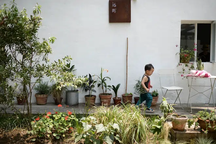 Vợ chồng trẻ bỏ phố về quê, cuộc sống bình yên như trong phim