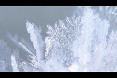 Hoa tuyết "nở" trên hồ Akan