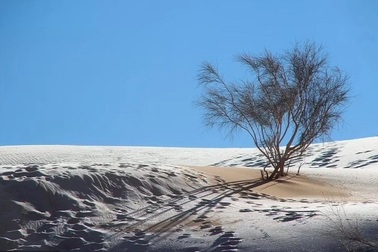 Vì sao tuyết trắng phủ kín sa mạc Sahara?