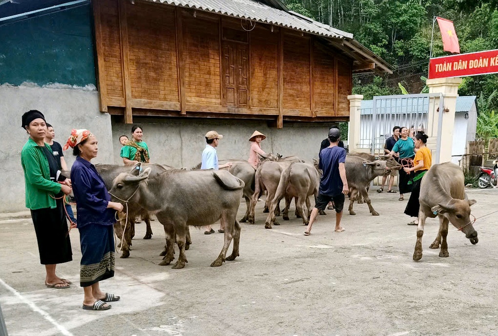 Thanh Hoá nỗ lực thực hiện mục tiêu quốc gia giảm nghèo bền vững - 1 Thanh Hoá nỗ lực thực hiện mục tiêu quốc gia giảm nghèo bền vững - 1