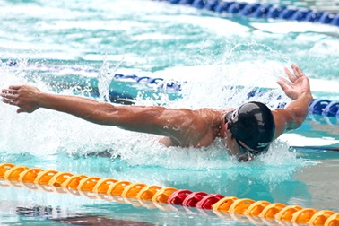 Tổng cục TDTT cử cán bộ sang Mỹ giám sát đội bơi