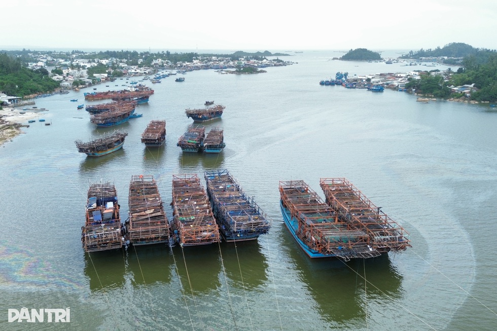 Những cư dân của Trường Sa - 1 Những cư dân của Trường Sa - 1