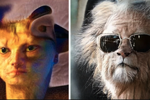 Kỳ lạ AI "biến" người thành động vật và ngược lại