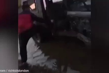 Video cảnh thiếu gia đốt xe để "giải tỏa nỗi buồn"