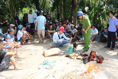 Triệt xóa trường gà, bắt gần 100 đối tượng cùng gần 400 triệu tiền mặt