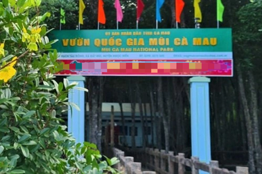 Công an Cà Mau đang điều tra nhiều vụ có dấu hiệu tham nhũng