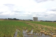 Bị thu hồi đất “bờ xôi ruộng mật”, người nông dân đưa ra “phép tính” kỳ quặc!