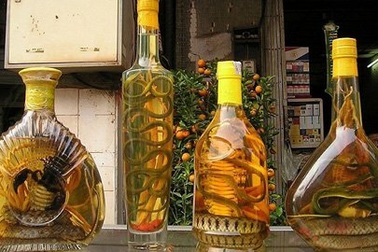 Công dân Nga thoát án hình sự vì mua phải rượu giả Việt Nam