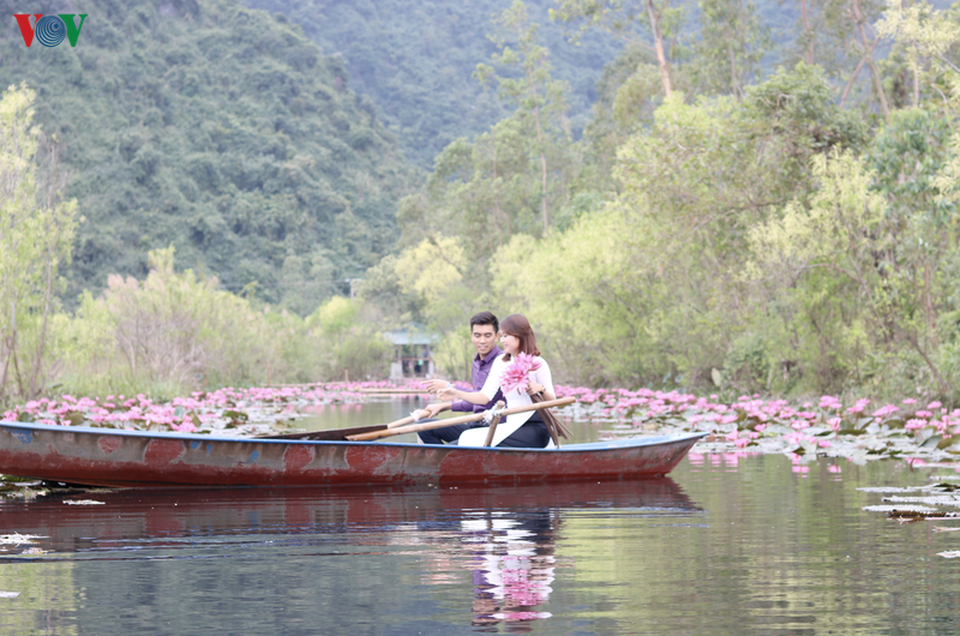 Hoa súng chùa Hương đẹp nao lòng giữa mùa đông - 5