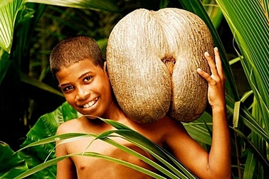 Loại hạt lớn nhất hành tinh, mỗi hạt giá tương đương hơn 70 triệu đồng