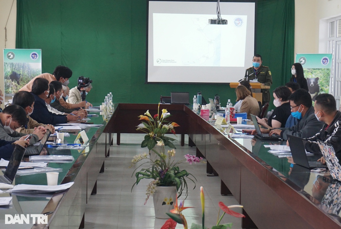 Bí mật về mật gấu - 1 Bí mật về mật gấu - 1