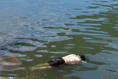 Xác chết nữ trôi trên Vịnh Hạ Long