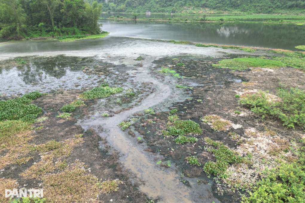 Nước hồ khu bảo tồn thiên nhiên đổi màu đen kịt vì trại lợn xả thải - 2 Nước hồ khu bảo tồn thiên nhiên đổi màu đen kịt vì trại lợn xả thải - 2
