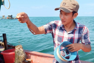 Lo dịch kéo dài, Phú Quốc kêu gọi người dân trồng rau, nuôi cá