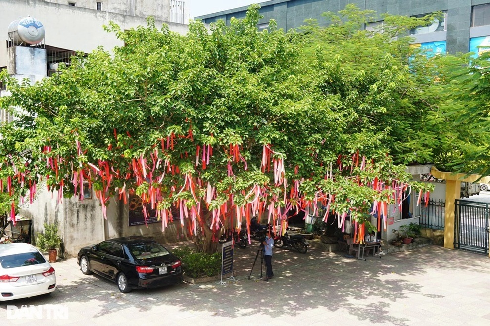 Độc đáo cây điều ước gửi thông điệp đến các chiến sĩ tuyến đầu chống dịch - 1 Độc đáo cây điều ước gửi thông điệp đến các chiến sĩ tuyến đầu chống dịch - 1