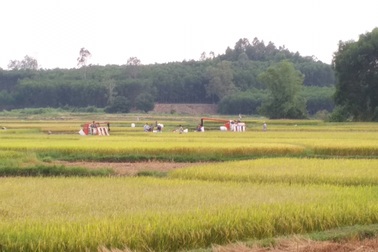 Phát hiện gần 400 sổ đỏ "cấp nhầm" suốt 16 năm, hàng trăm người dân ngã ngửa