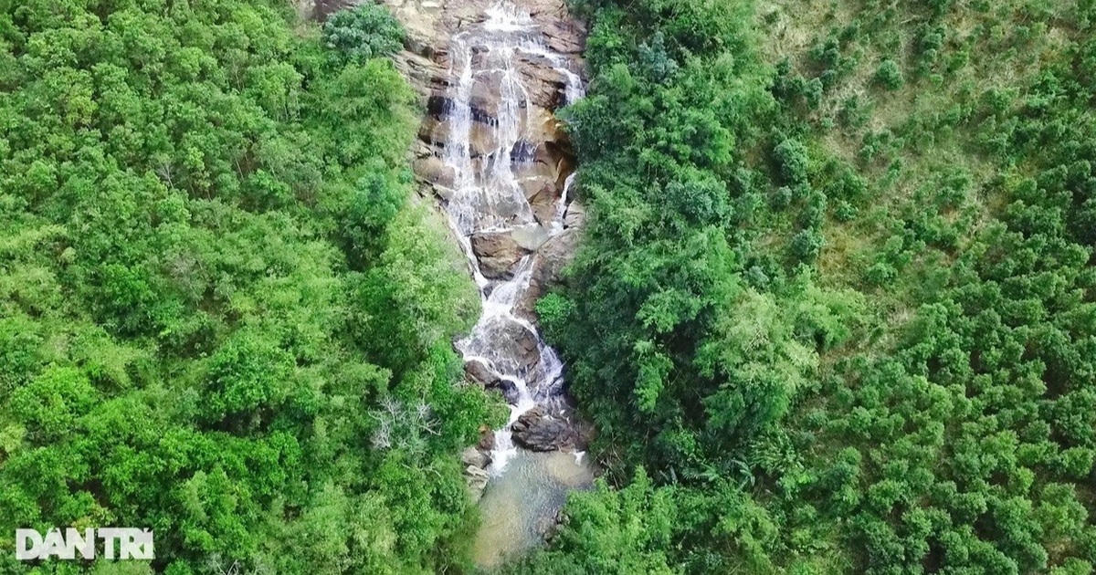 dantri.com.vn