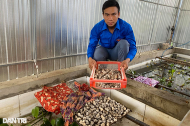 Chàng thanh niên bôn ba làm thuê, quay về giúp dân bản cùng đi lên