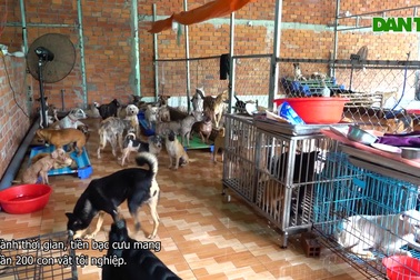 Người phụ nữ bán vàng, trích đất cưu mang chó mèo bị bỏ rơi