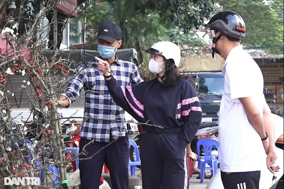 Đào, lê, mận rừng xuống núi phục vụ người dân Thủ đô chơi Tết sớm - 5 Đào, lê, mận rừng xuống núi phục vụ người dân Thủ đô chơi Tết sớm - 5