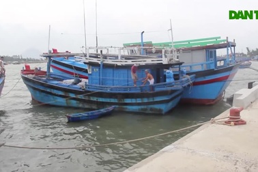 Ngư dân Phú Yên neo đậu tàu thuyền tránh bão số 5