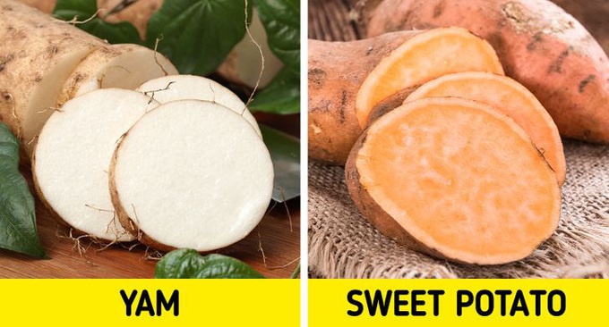 12 loại thực phẩm thường xuyên khiến người khác nhầm lẫn tai hại, chỉ nhìn vẻ ngoài thì đố ai phân biệt được - Ảnh 10. 12 loại thực phẩm thường xuyên khiến người khác nhầm lẫn tai hại, chỉ nhìn vẻ ngoài thì đố ai phân biệt được - Ảnh 10.