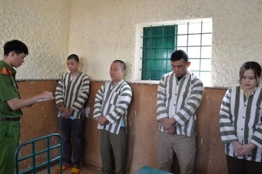 Nhóm đối tượng dùng chíp điện tử "đánh tụt" khối lượng lớn cà phê