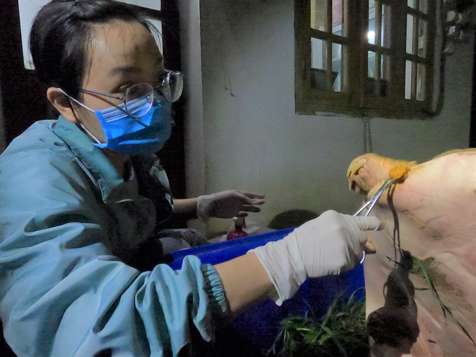 Cứu hộ cá thể Giải khủng nhất từ trước đến nay - 3 Cứu hộ cá thể Giải khủng nhất từ trước đến nay - 3