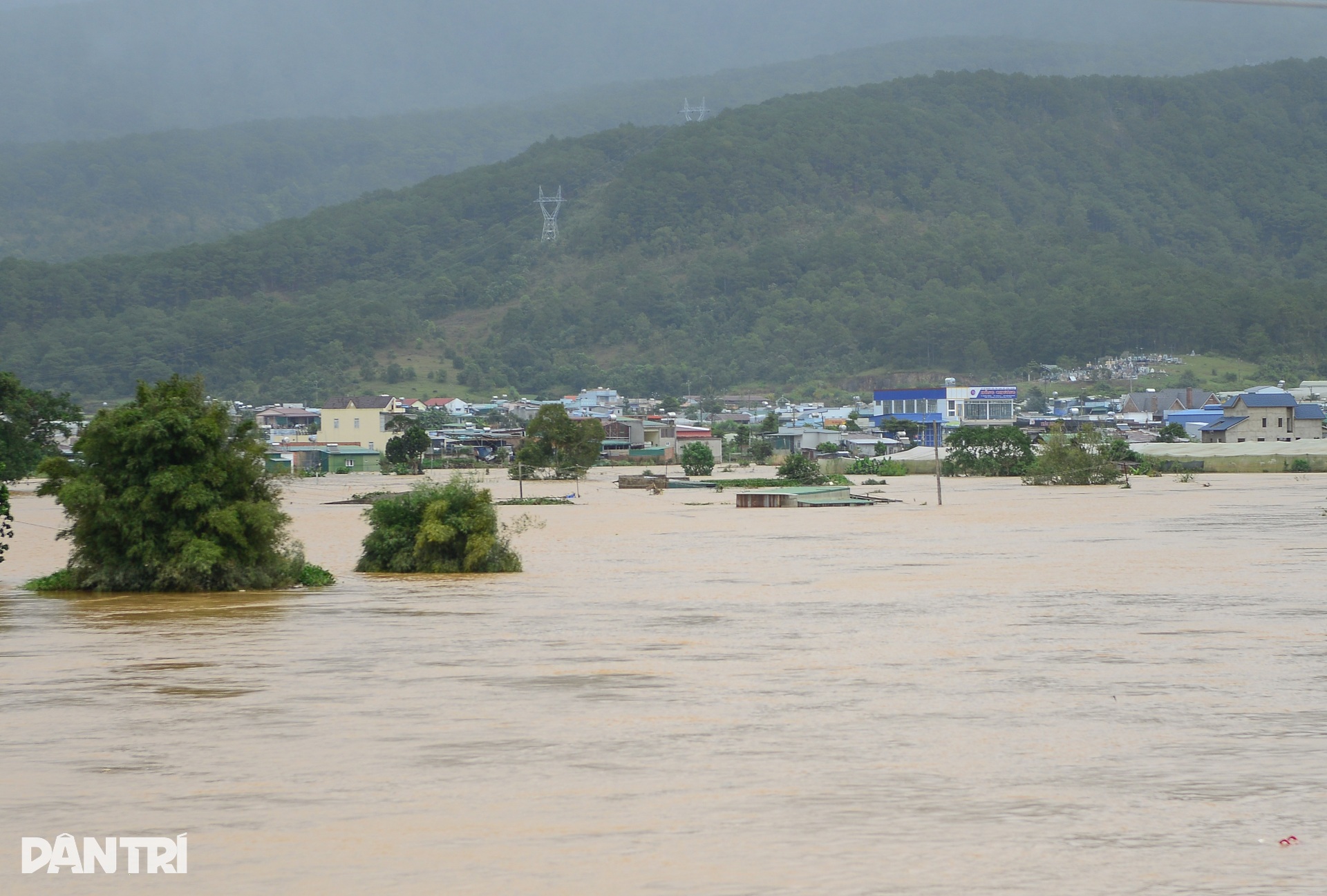 Một đêm lũ dữ, nhiều gia đình ở Lâm Đồng trắng tay - 12