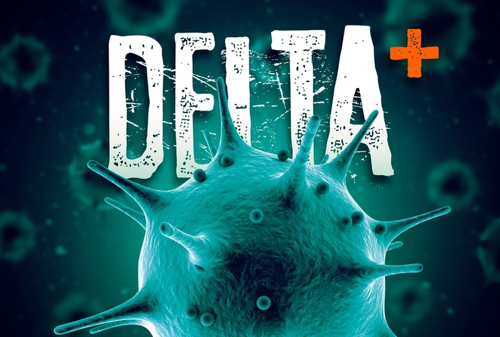 Biến thể phụ Delta Plus có làm tăng nguy cơ với người bệnh? - 1 Biến thể phụ Delta Plus có làm tăng nguy cơ với người bệnh? - 1