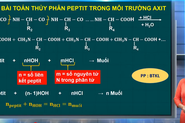 Ôn tập môn Hóa thi tốt nghiệp: Bài toán hợp chất hữu cơ với dung dịch axit