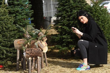 “Sao” đua nhau đi sắm cây thông Noel